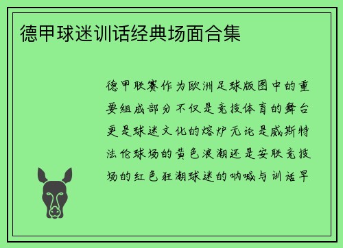 德甲球迷训话经典场面合集