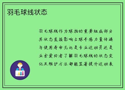 羽毛球线状态