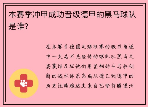 本赛季冲甲成功晋级德甲的黑马球队是谁？